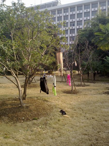 杭州电子科大:谁的<em>内裤</em>和<em>乳罩</em>在飞?-我的自拍