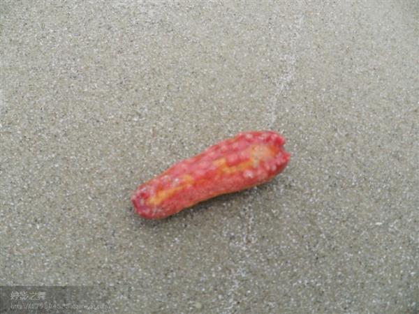 那片海,北海涠洲岛-旅游休闲-金华19楼藜麦和糙米混合图片