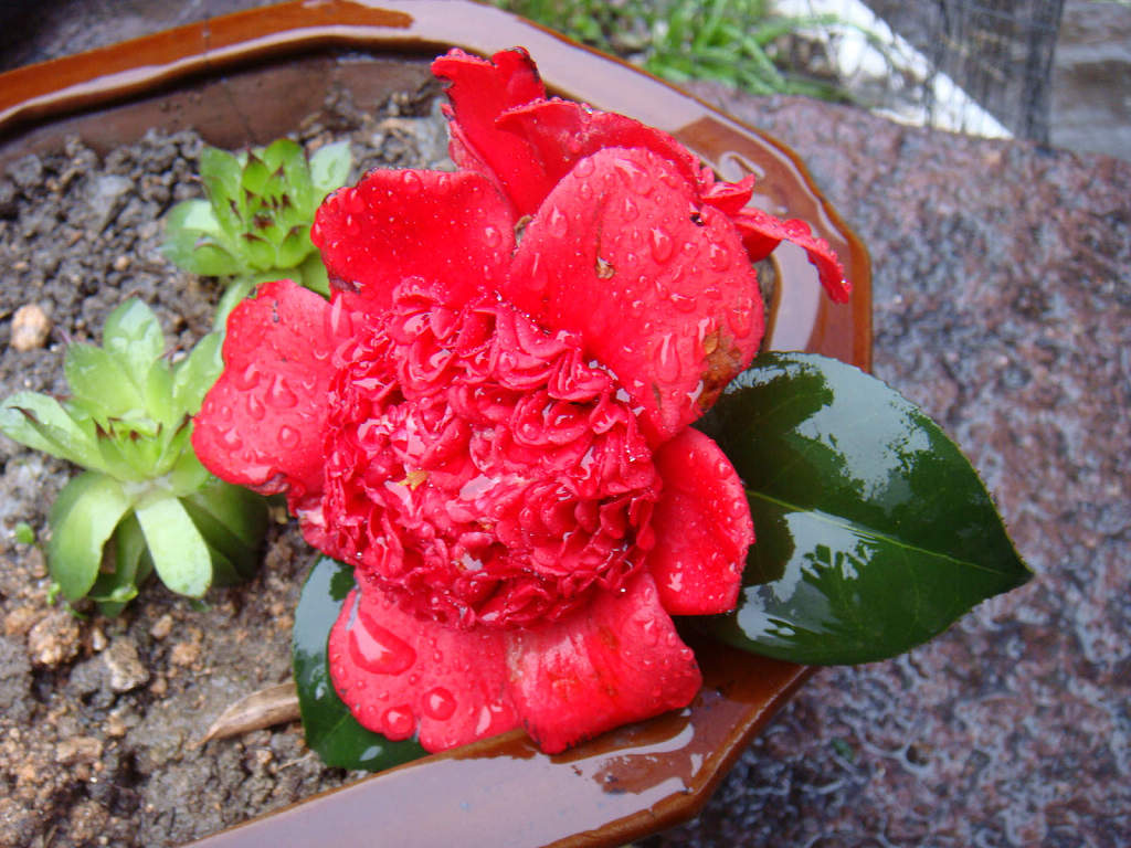 [游记]3.19 烟雨走马塘,流水百梁桥-结伴游玩-宁