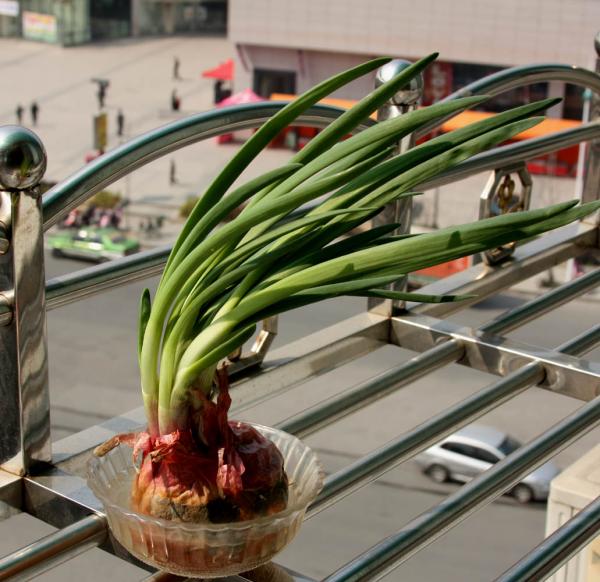 贴图,老婆喜欢这样玩,我受不了了、、、、、、