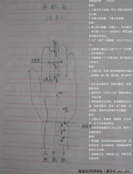 孕<em>脉</em>图 <em>看生男生女</em>-孩爸妈聊天室-台州19楼
