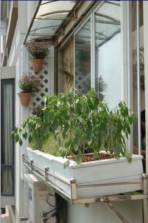阳光房大变身--种菜养花,香气满溢-装修大本营