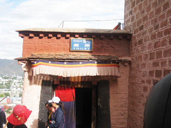 青藏8日游,体验了所有的高原反应(多图)-旅游先