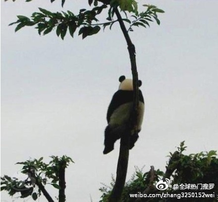 【博海拾贝】为什么我有了奥特曼变身器仍然不