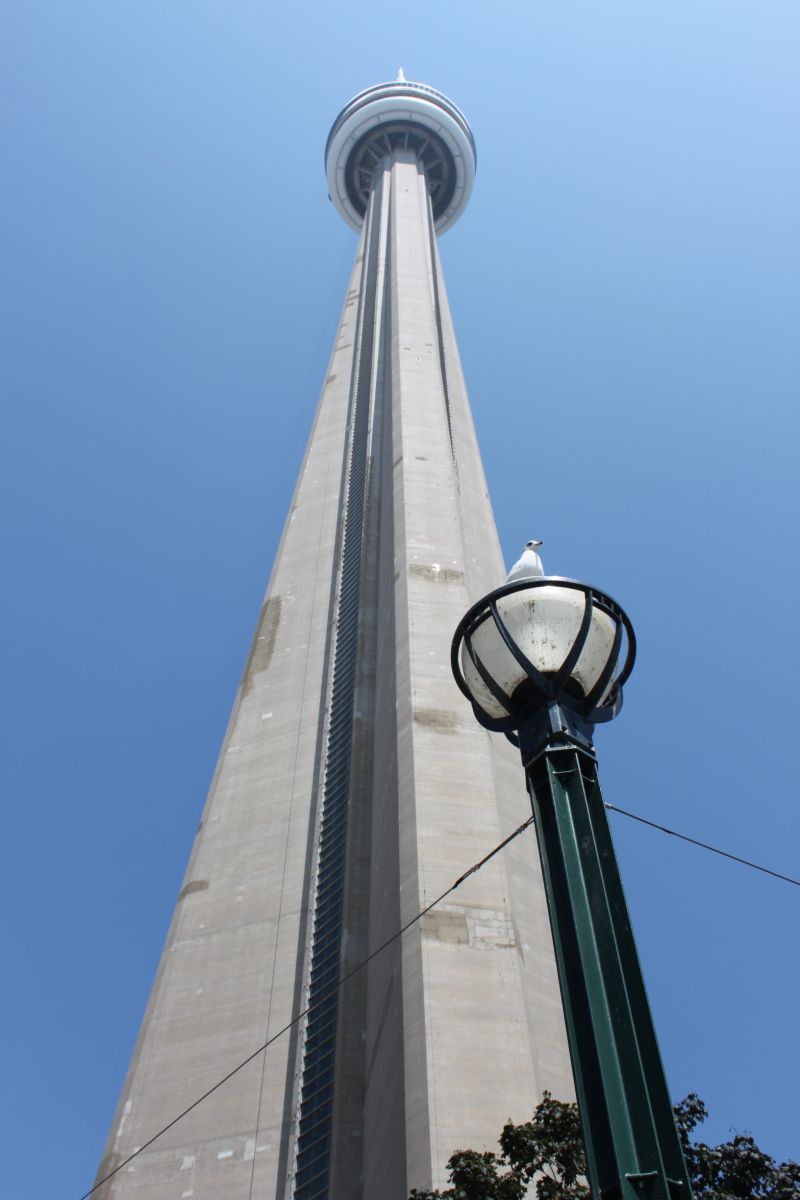 加拿大cn塔简笔画|tower;又称加拿大国家电视塔