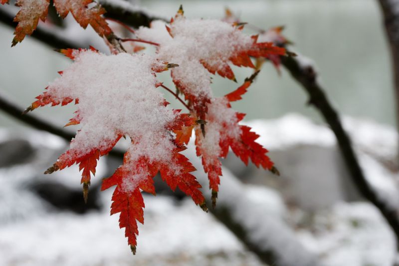 跟我学做菜-第381页-19楼私房菜-杭州19楼