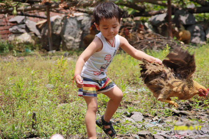 抓鸡过程,有图,那个开心哦!-妈咪宝宝秀-杭州19