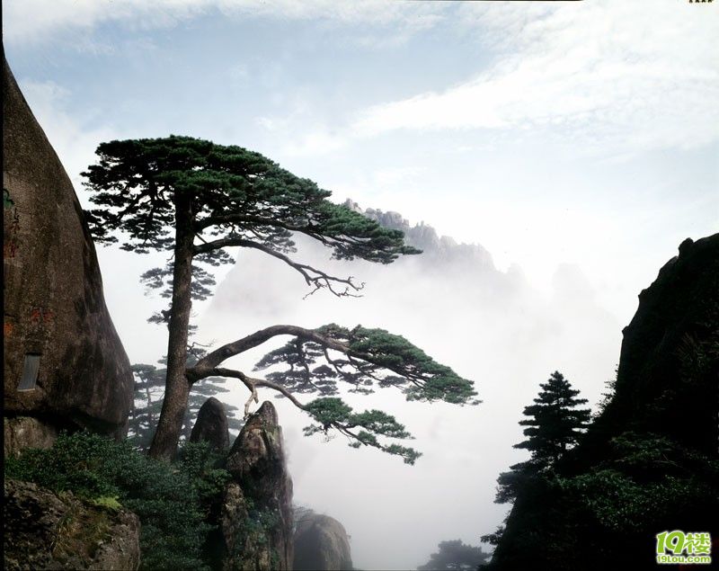 杭州春季v游记游记-攻略攻略-户外运动-绍兴19夜游黄山攻略图片