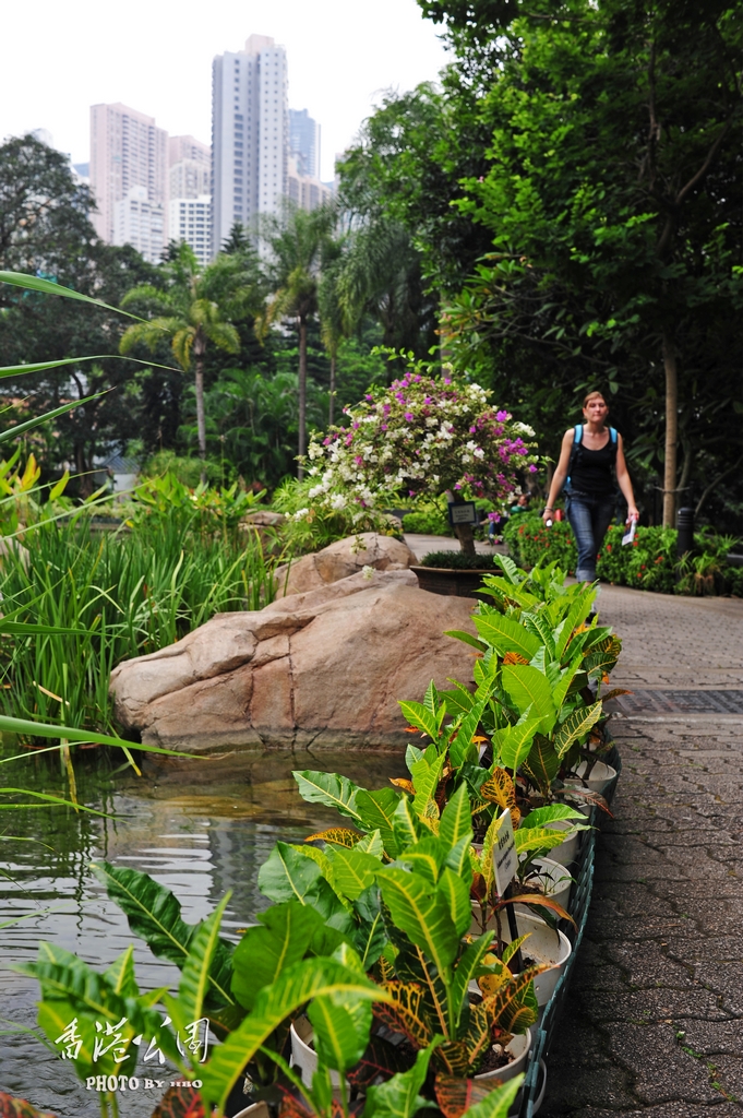 --------香港公园--------