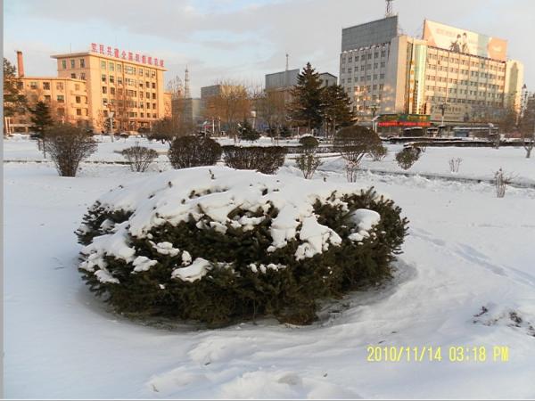 啥时候下雪郑州 middle_20091146994cdfb54b2bbce0.91564841.jpg