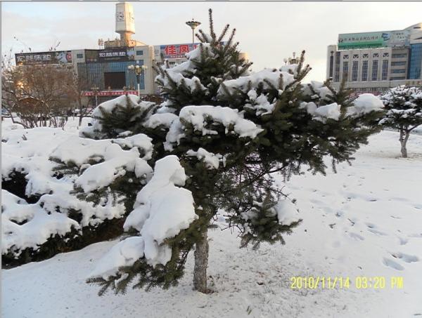 啥时候下雪安徽 middle_21073302904cdfb5b92a9f72.36547782.jpg